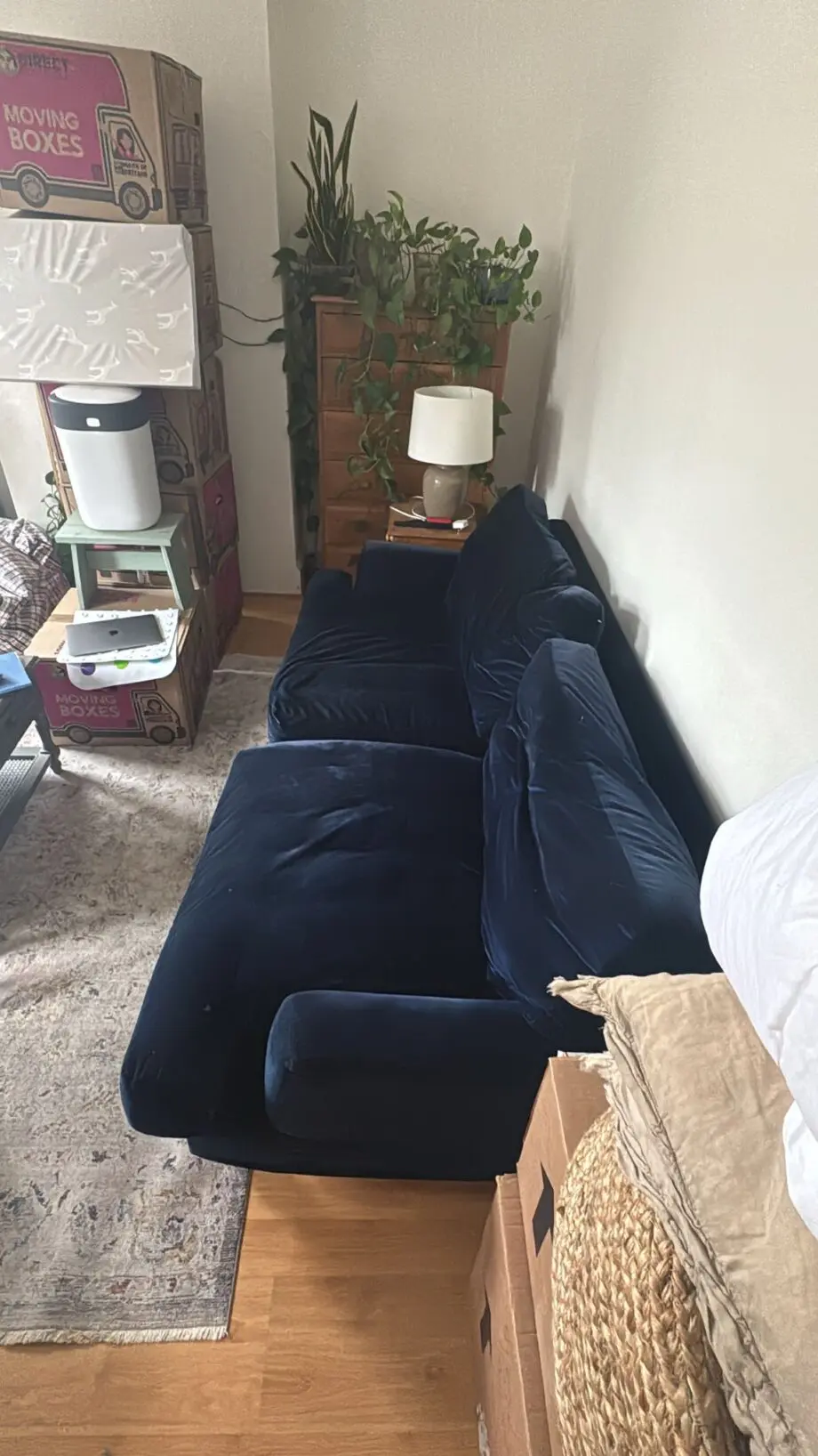 Navy blue velvet sofa.com 3 seater