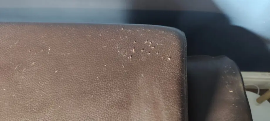 NewTrend Concepts Itialia, handmade leather sofa dark chocolate brown.