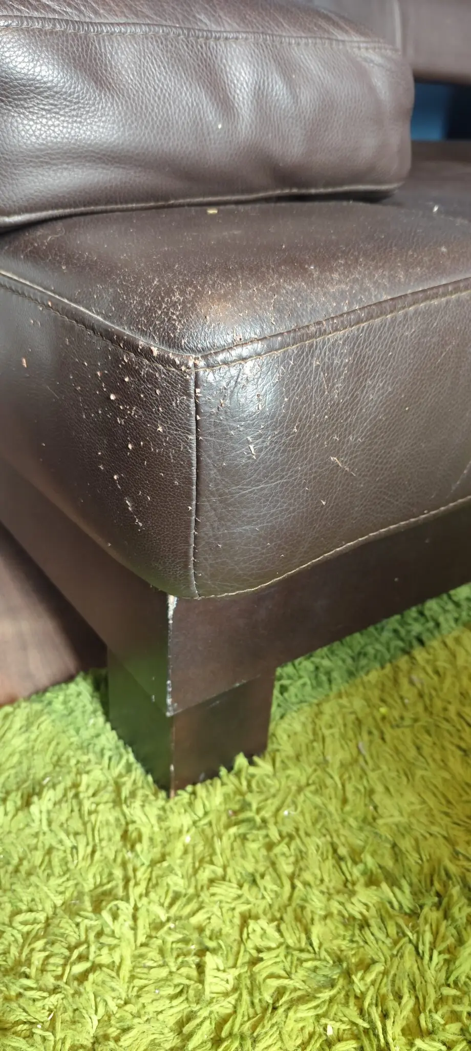 NewTrend Concepts Itialia, handmade leather sofa dark chocolate brown.