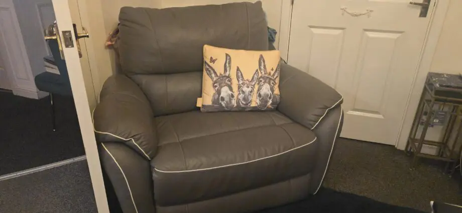 Dfs cuddle chair recliner