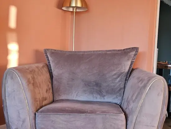 Sofology Light Grey Velvet Chair with Gold Accents