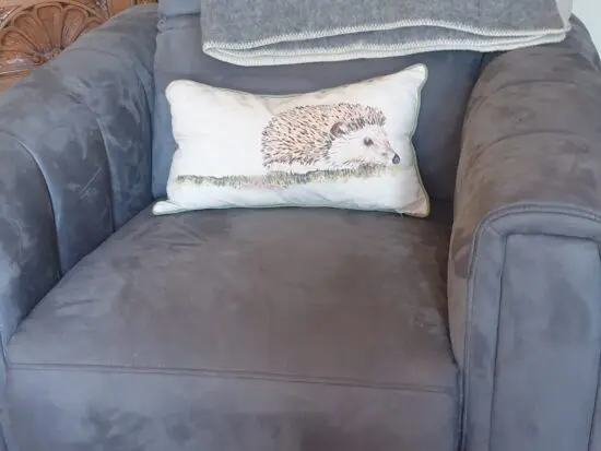 Sofology as new grey velour type fabric armchair