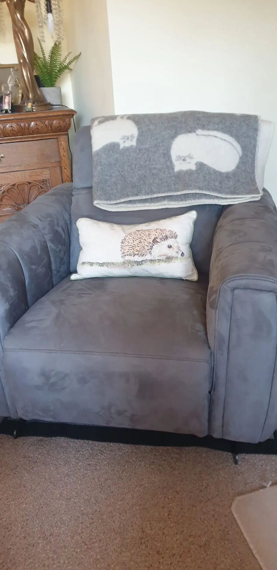 Sofology as new grey velour type fabric armchair