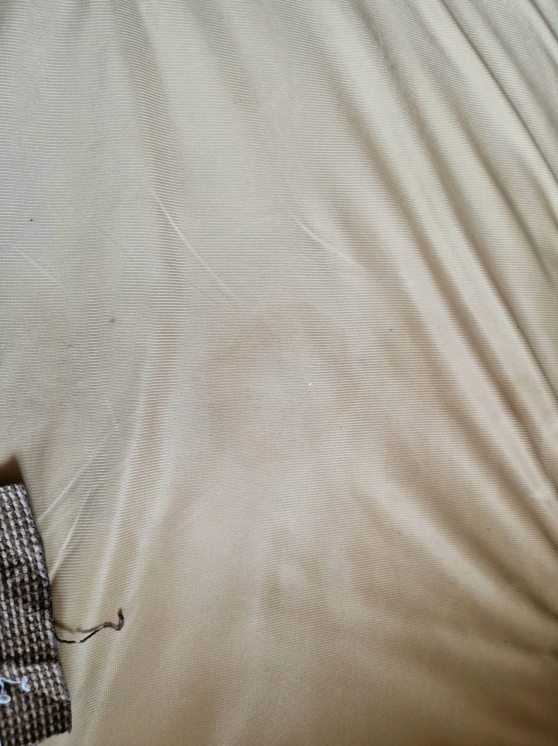 Next Brown/Beige 2 Seater Sofa