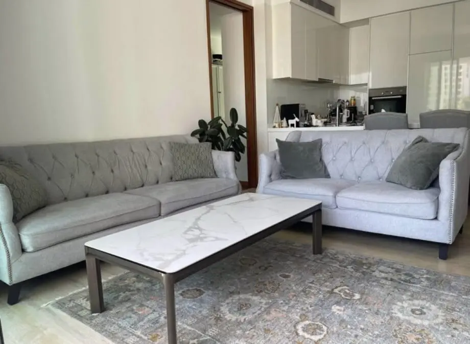 Sofa set:3 seater and 2 seater