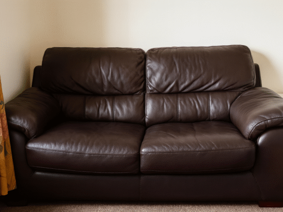 Dark Brown Leather 2-Seater Sofa