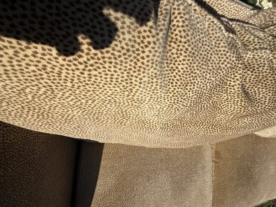 Leopard print velvet sofa