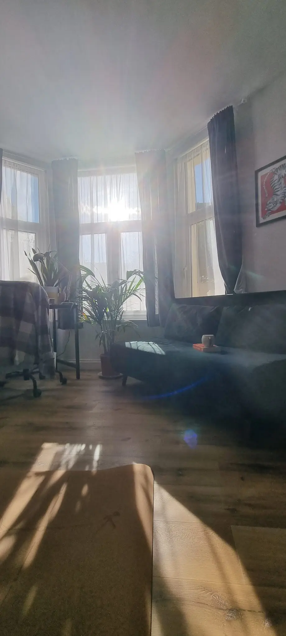 MADE Large Haru 2 Seater Sofa Bed in Smooth Velvet Moss Green