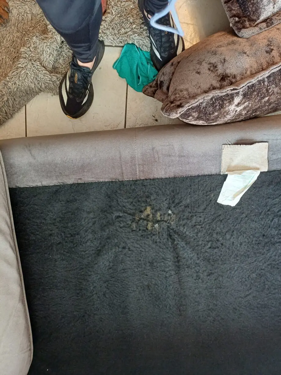 Taskers brown velvet sofas
