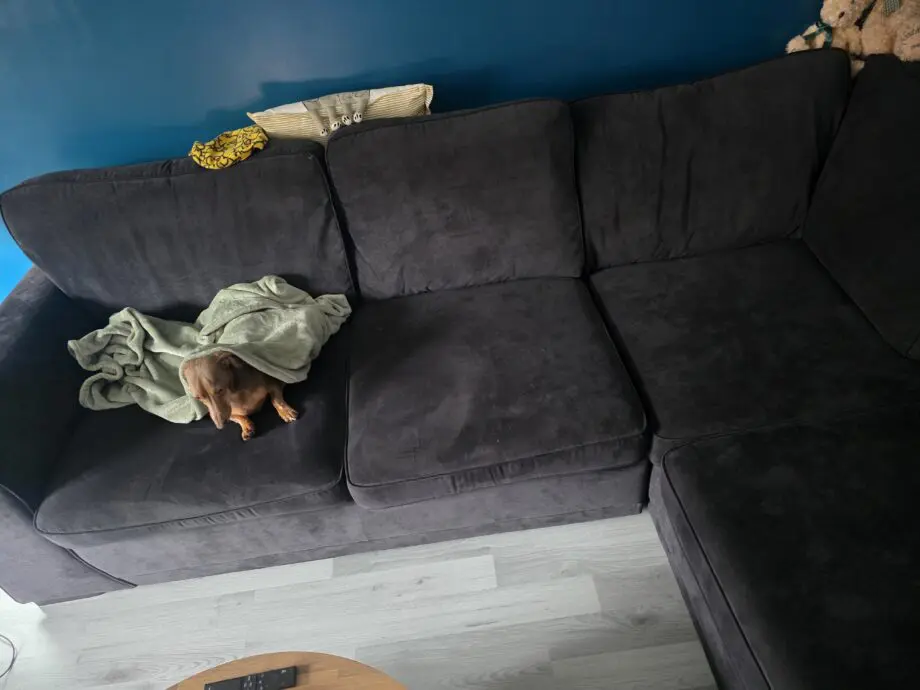 DFS Black Orka Corner Sofa