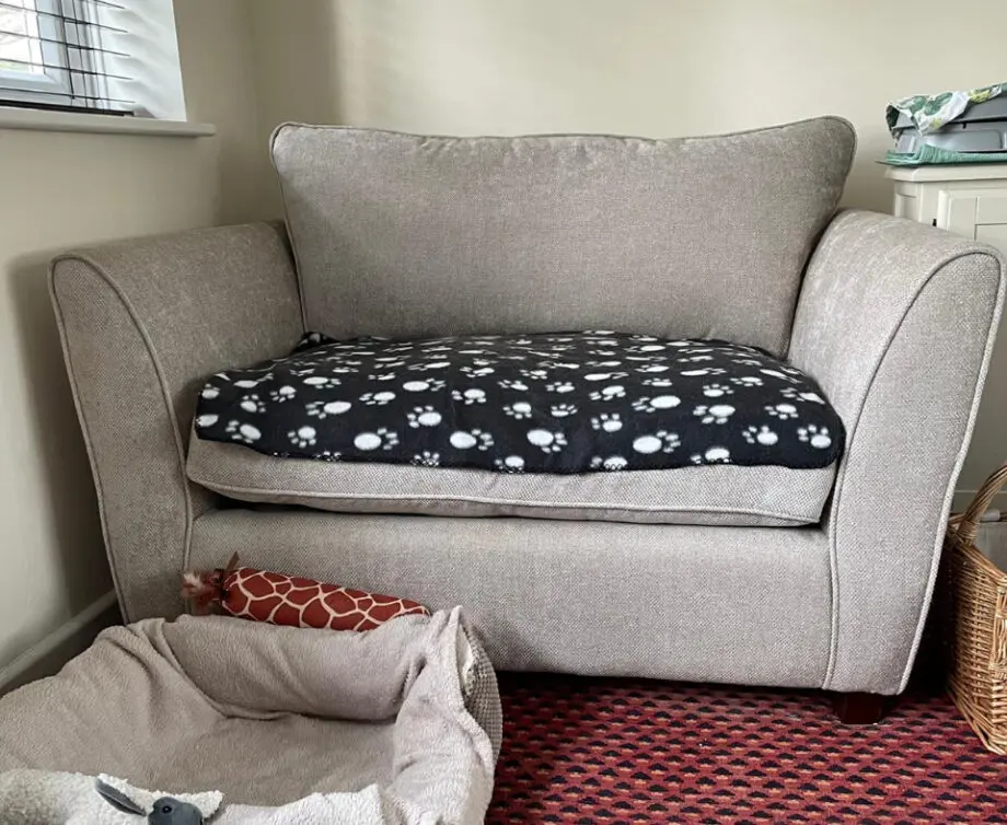 Single sofa bed.