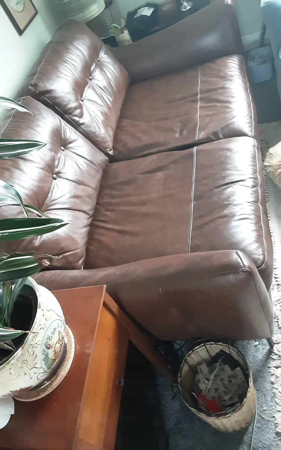 Sofology Alaska Whiskey Cordelia 2 seater sofa