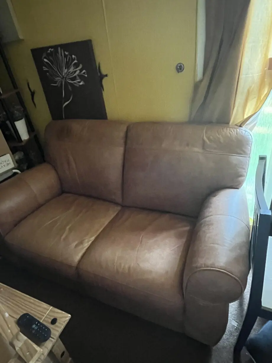 Tan couches