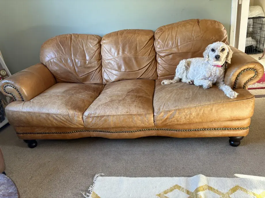 Two brown leather sofas