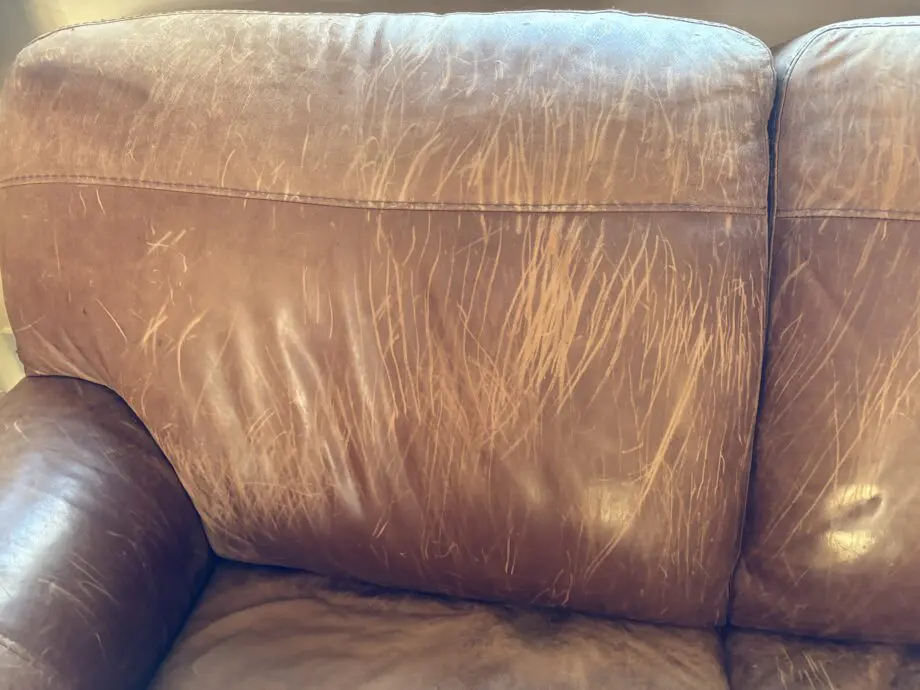 Two brown leather sofas