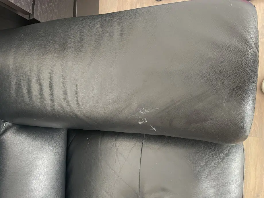 SCS SiSi Italia Genuine Leather 2-Seater Sofa