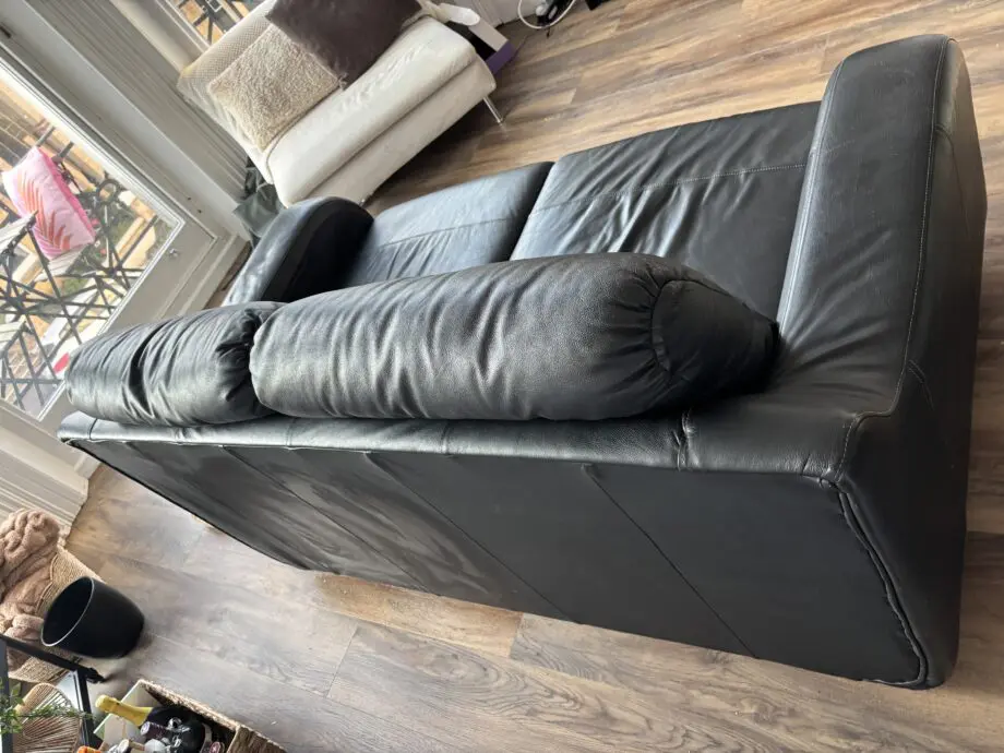 Black Leather Sofa Bed