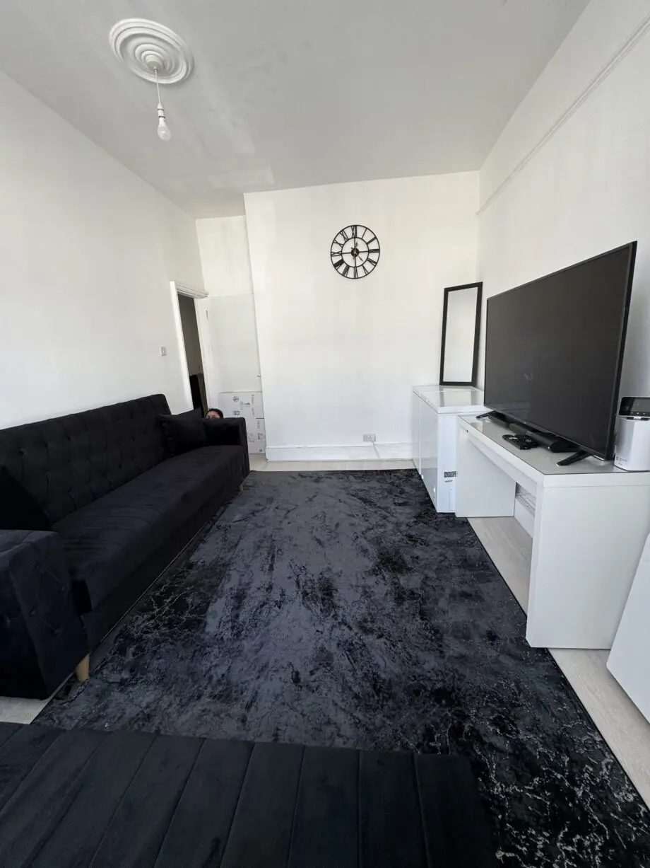 Modern Black Velvet Sofa Bed