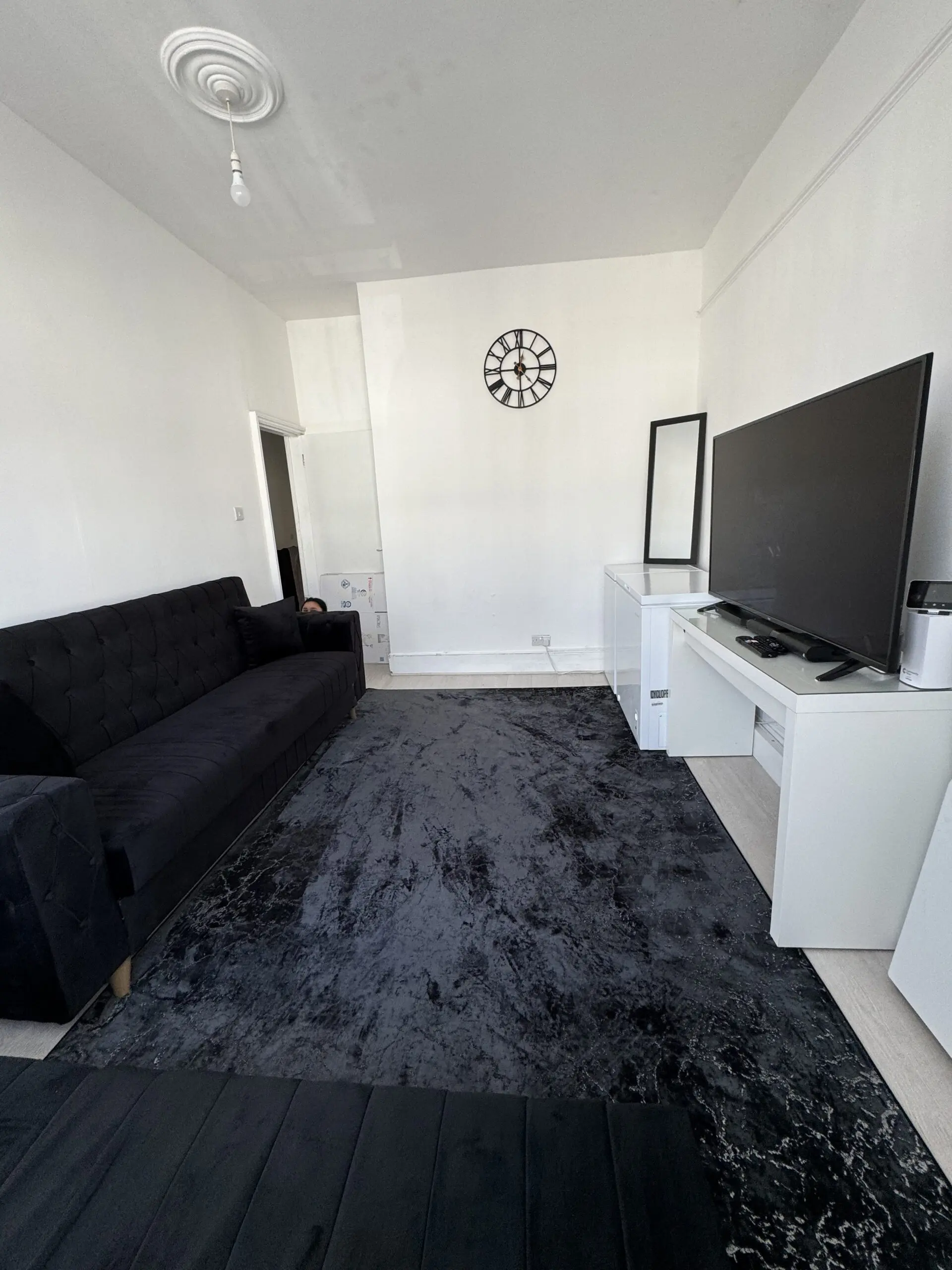 Modern Black Velvet Sofa Bed