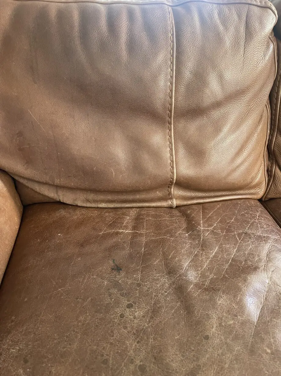 Sofology 2 Seater Real Leather Sofa