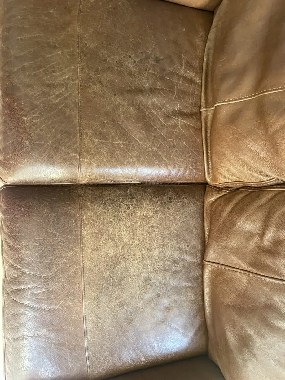 Sofology 2 Seater Real Leather Sofa