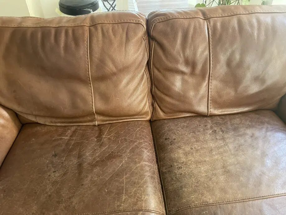 Sofology 2 Seater Real Leather Sofa