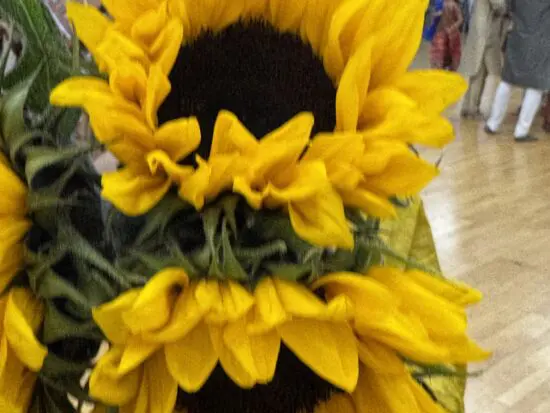 Sofa bed corner sofa