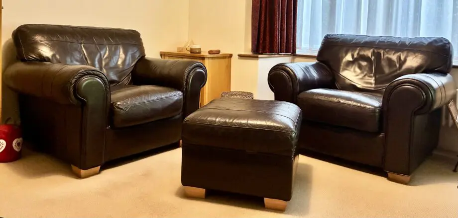 Dark Brown Leather Suite
