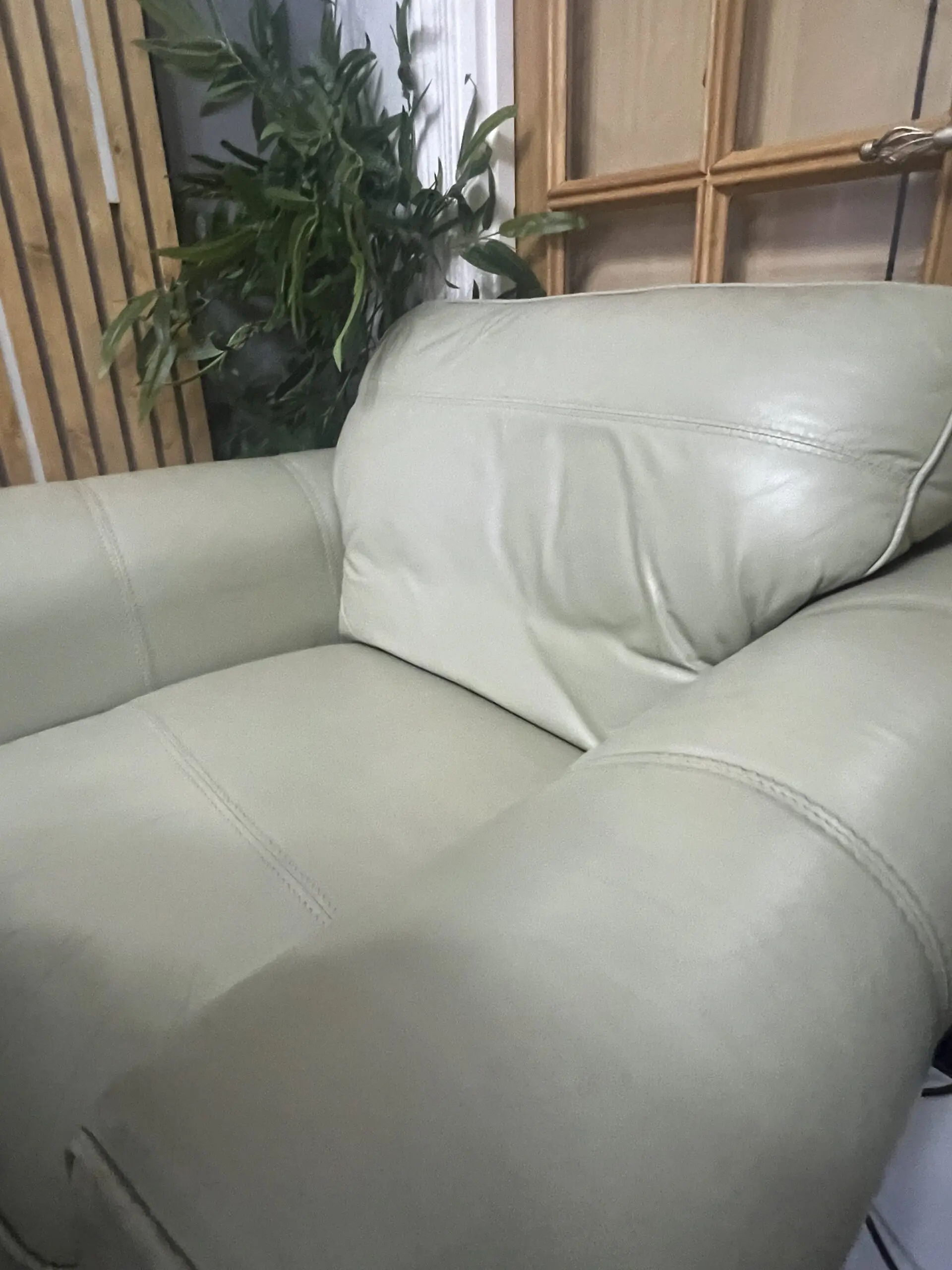 Italian Leather Sofa Set (3+2+1) – light green
