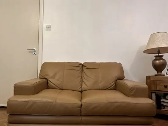 Set of 2 DFS Modern Tan 2-Seated Leather Sofas