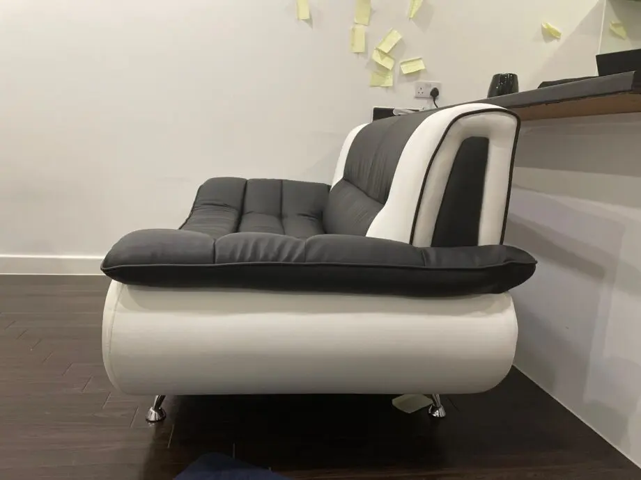 Luxury Faux Leather Modern Sofas