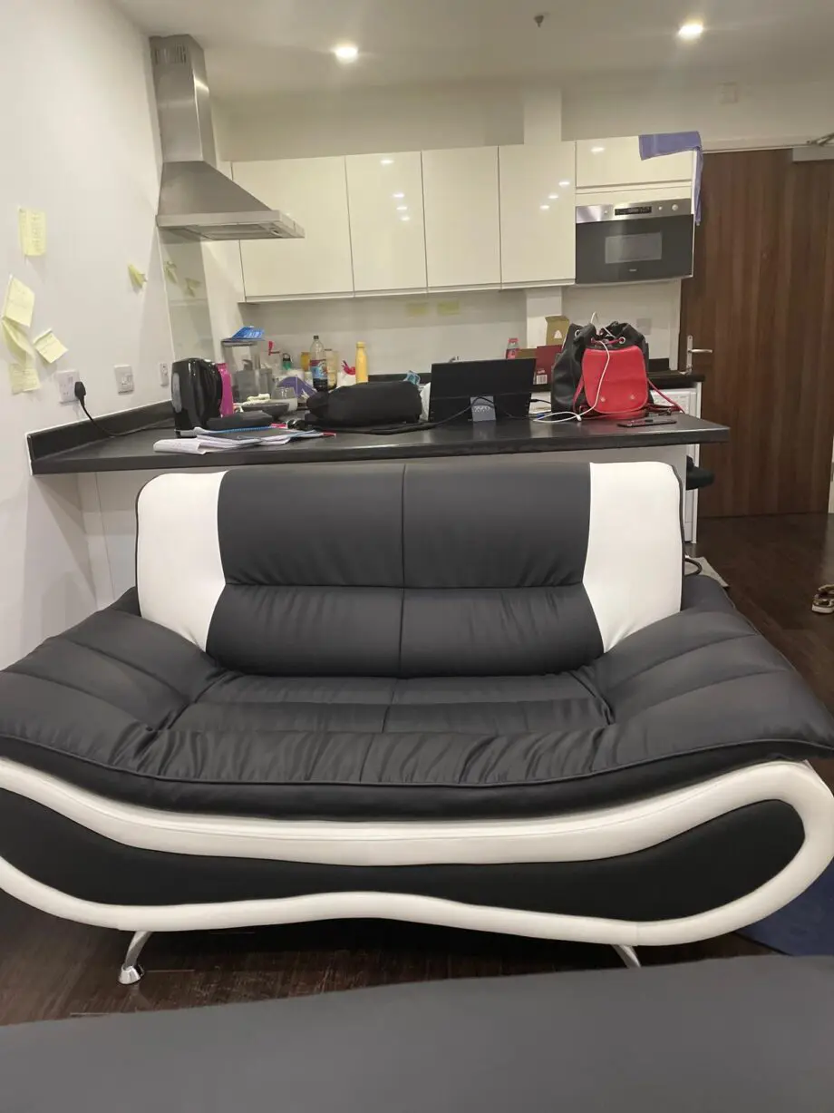 Luxury Faux Leather Modern Sofas