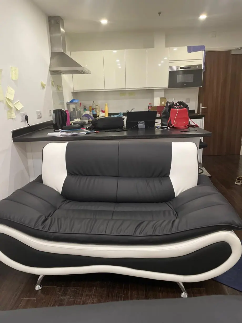 Luxury Faux Leather Modern Sofas