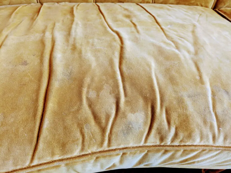 Sofology Yellow Velvet Curved Sofa