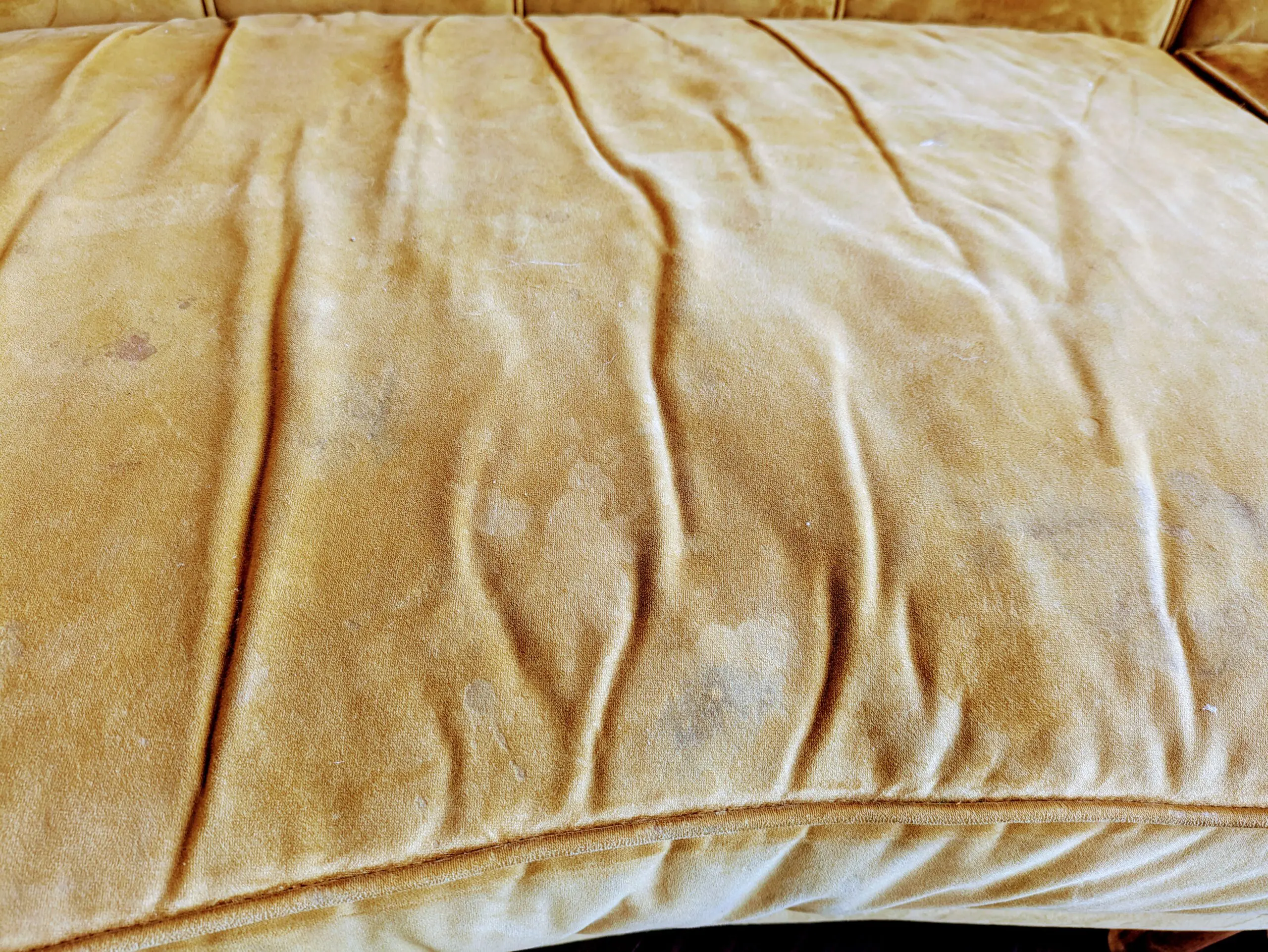 Sofology Yellow Velvet Curved Sofa