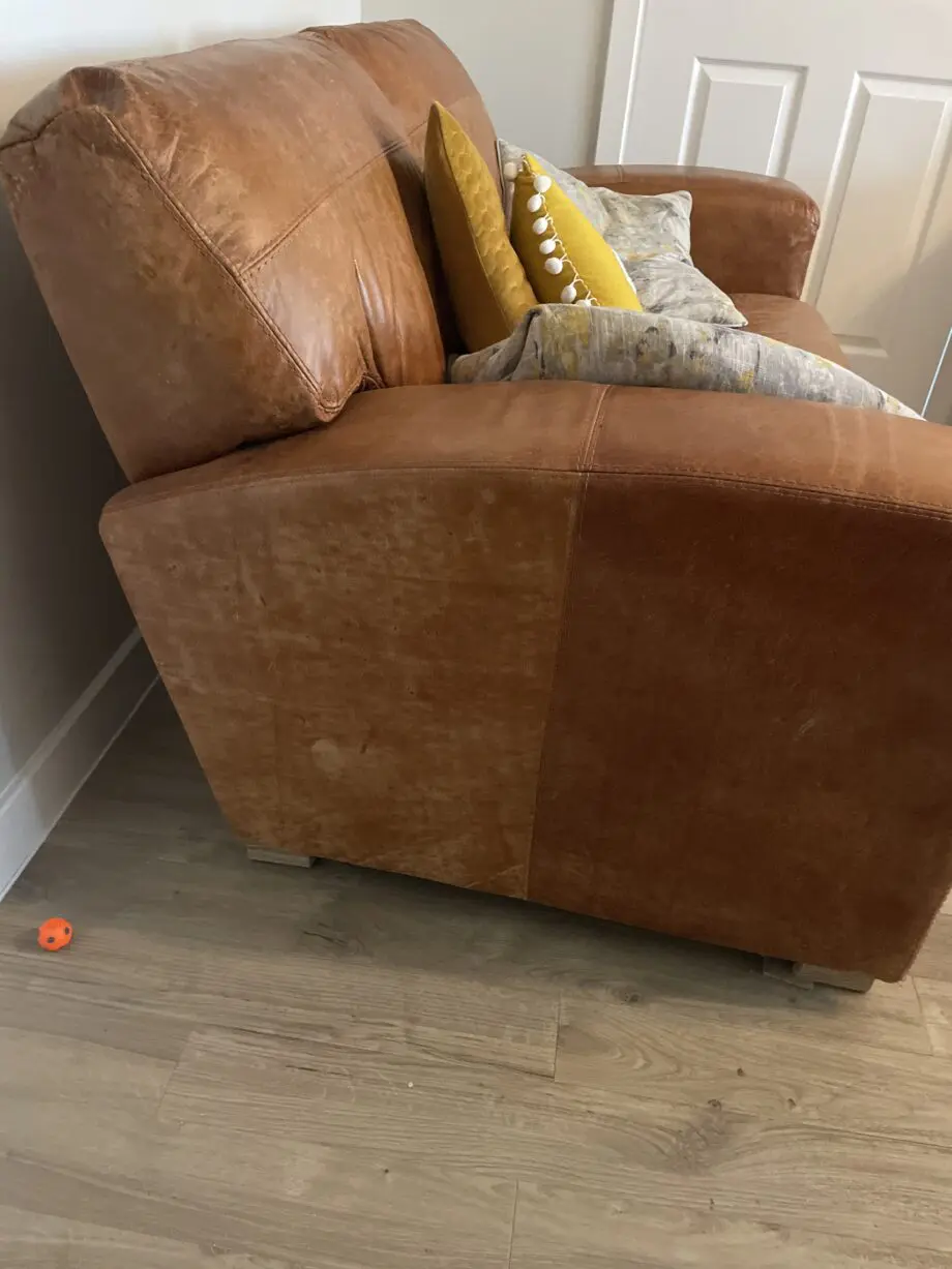 DFS Caeser tan leather sofa set