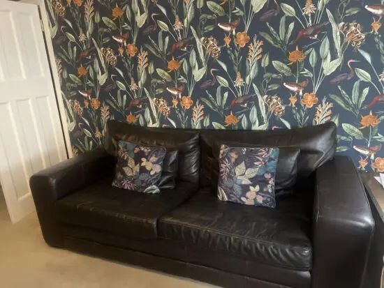 Dark Brown Leather Sofas (x2)