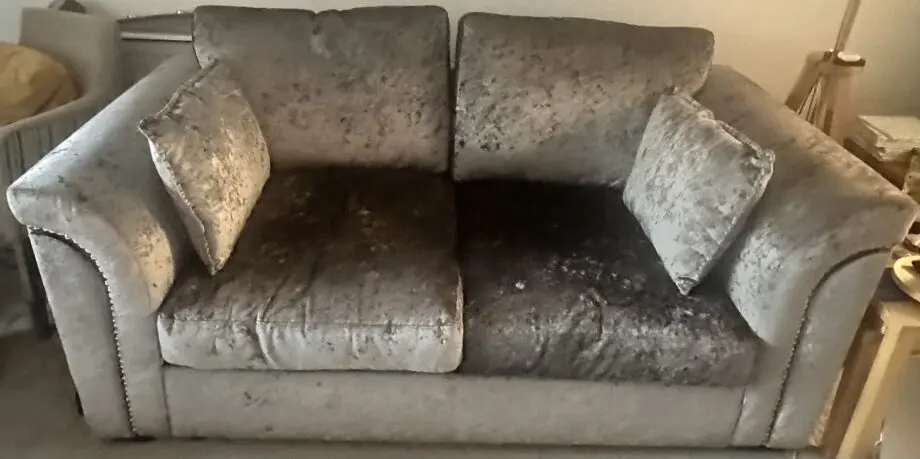 DFS Crushed Velvet Sofa Bed