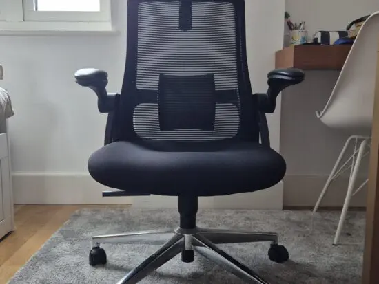 Realm of Thrones CAPTAIN Ergonomic Chair