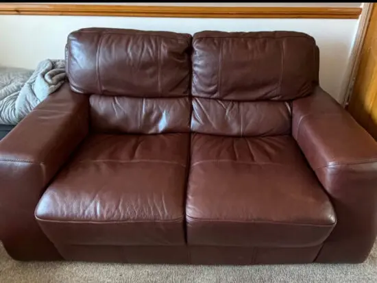 Violino Genuine Leather brown 2-Seater Sofa