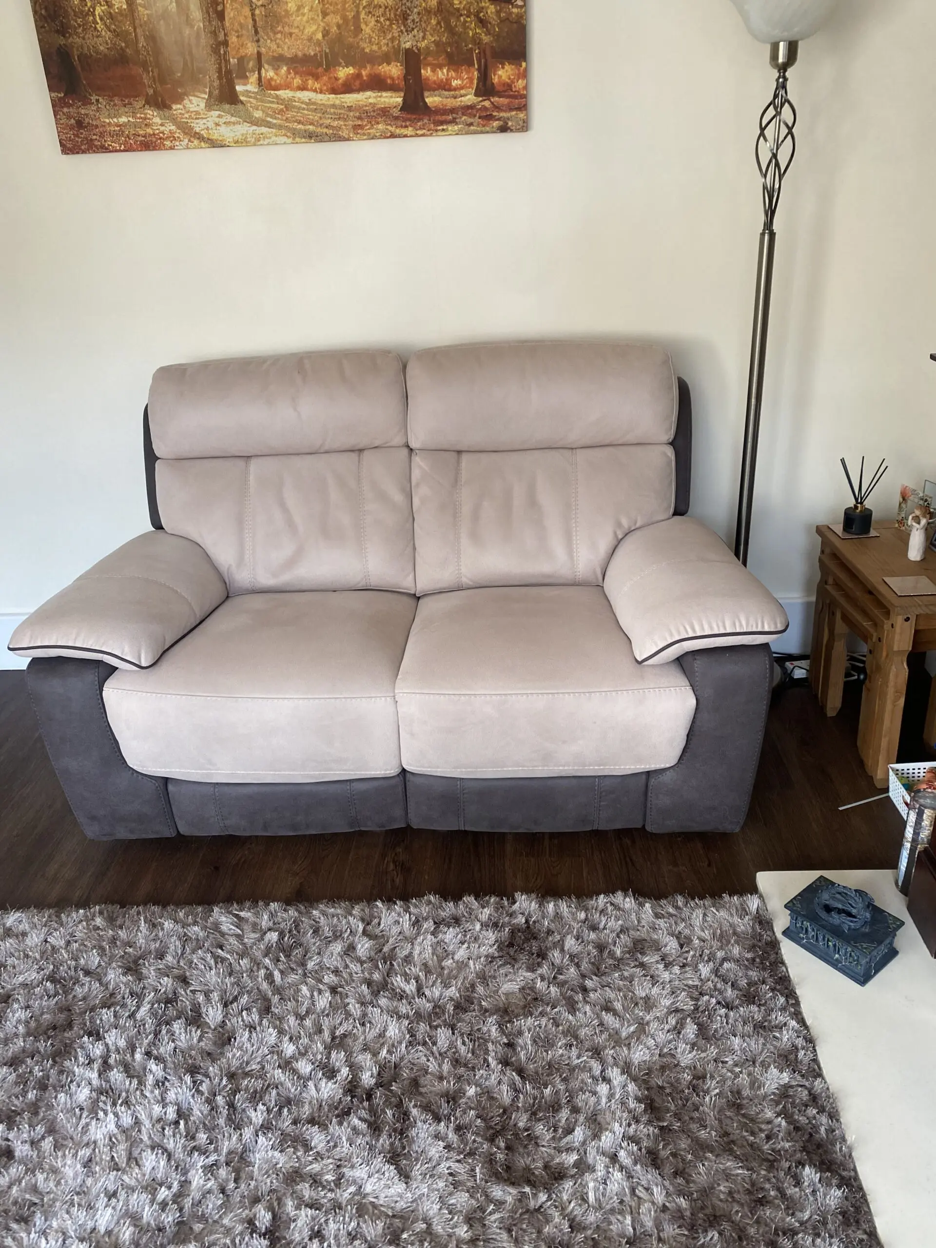 2 luxury electric Power recliner sofas (Emery 2s) with usb charging ports