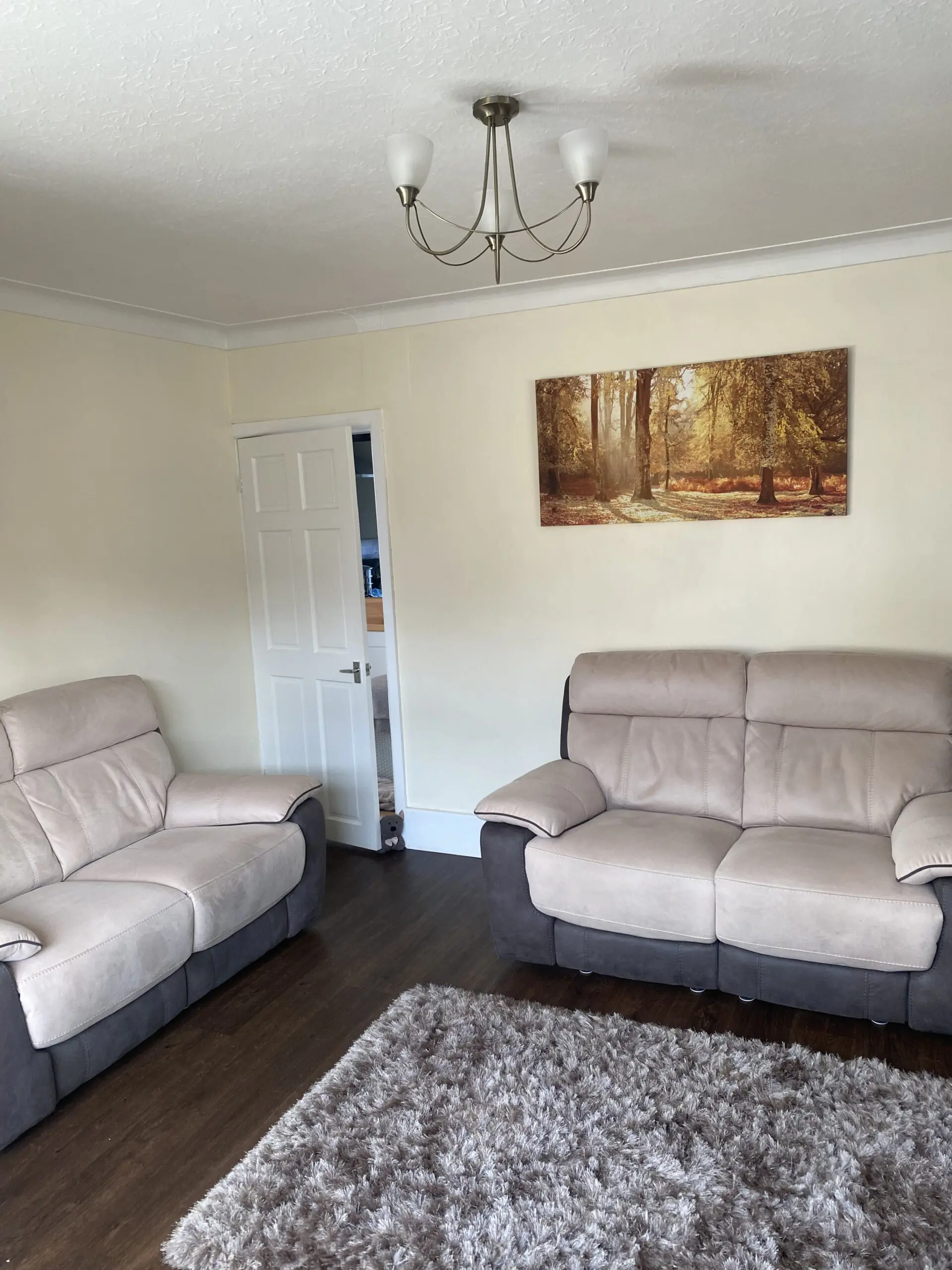 2 luxury electric Power recliner sofas (Emery 2s) with usb charging ports