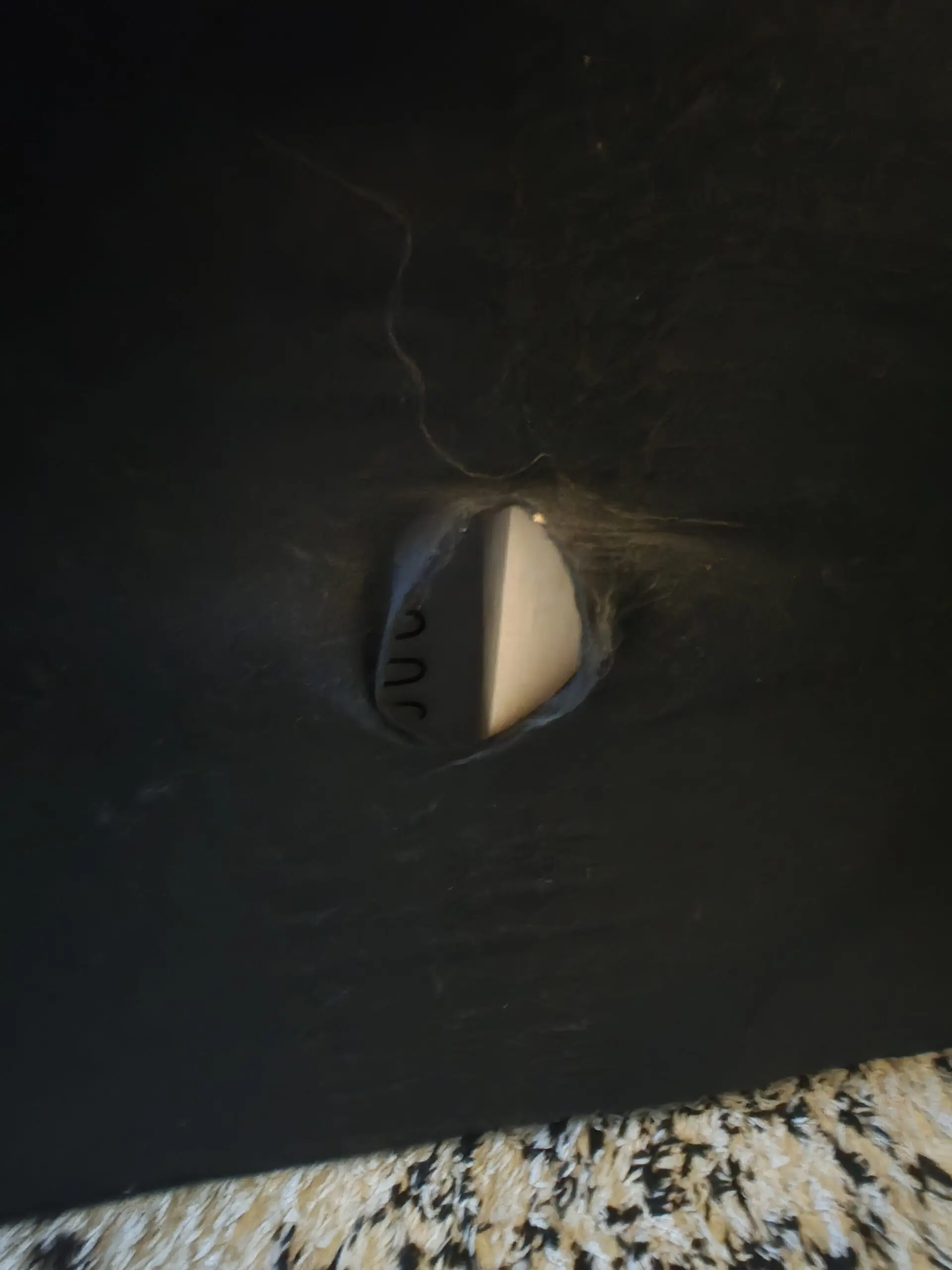 Dunelm velvet 3 seater sofa + Cuddle chair