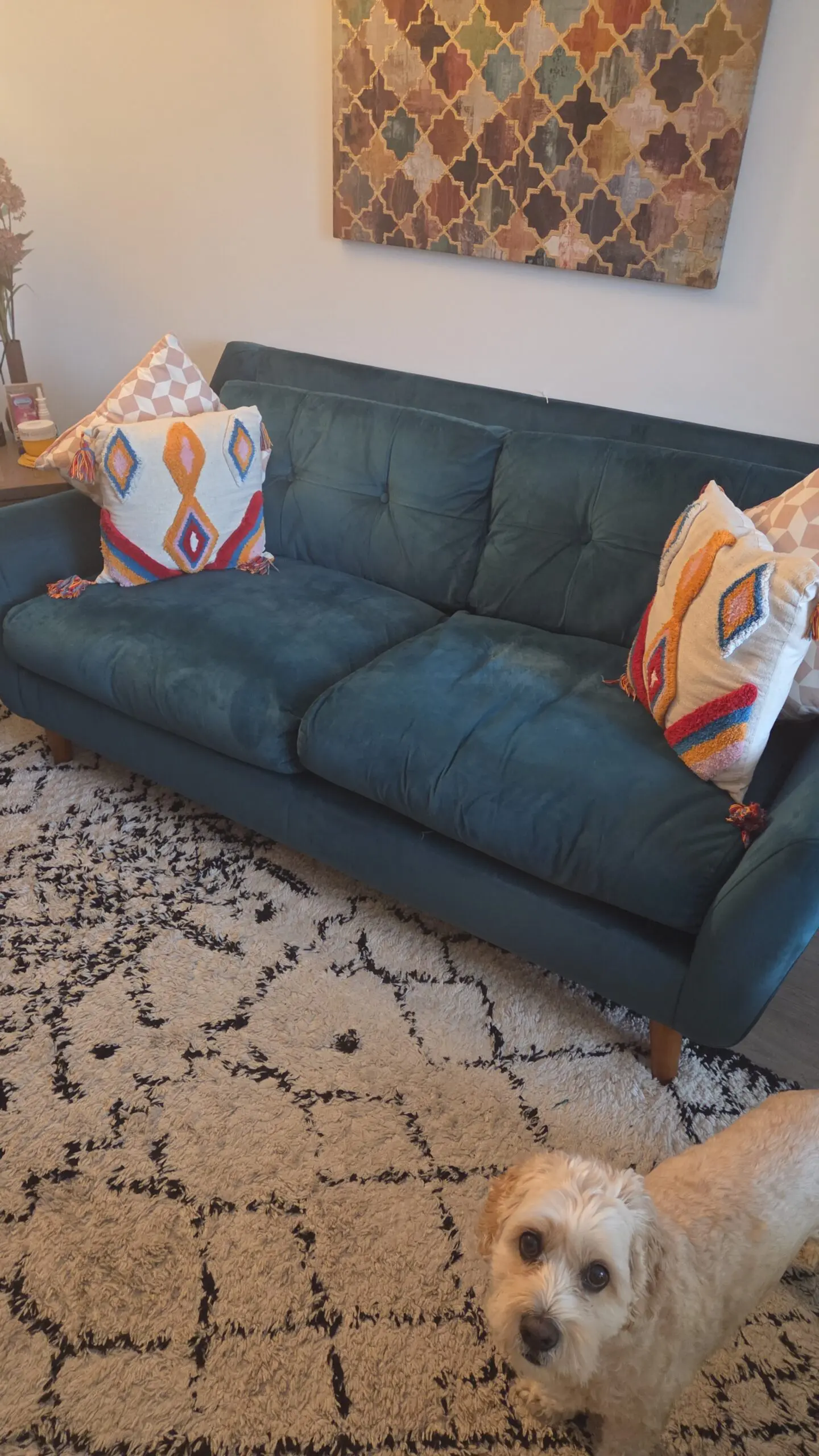 Dunelm velvet 3 seater sofa + Cuddle chair