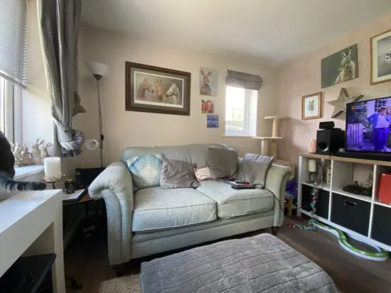 Dfs Country Living Woodstock 2 seater sofas green