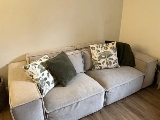 Marylebone medium 2 years old