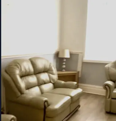 Light green Leather sofa set