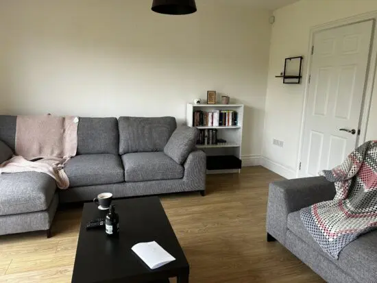 Dfs grey chaise sofa and loveseat