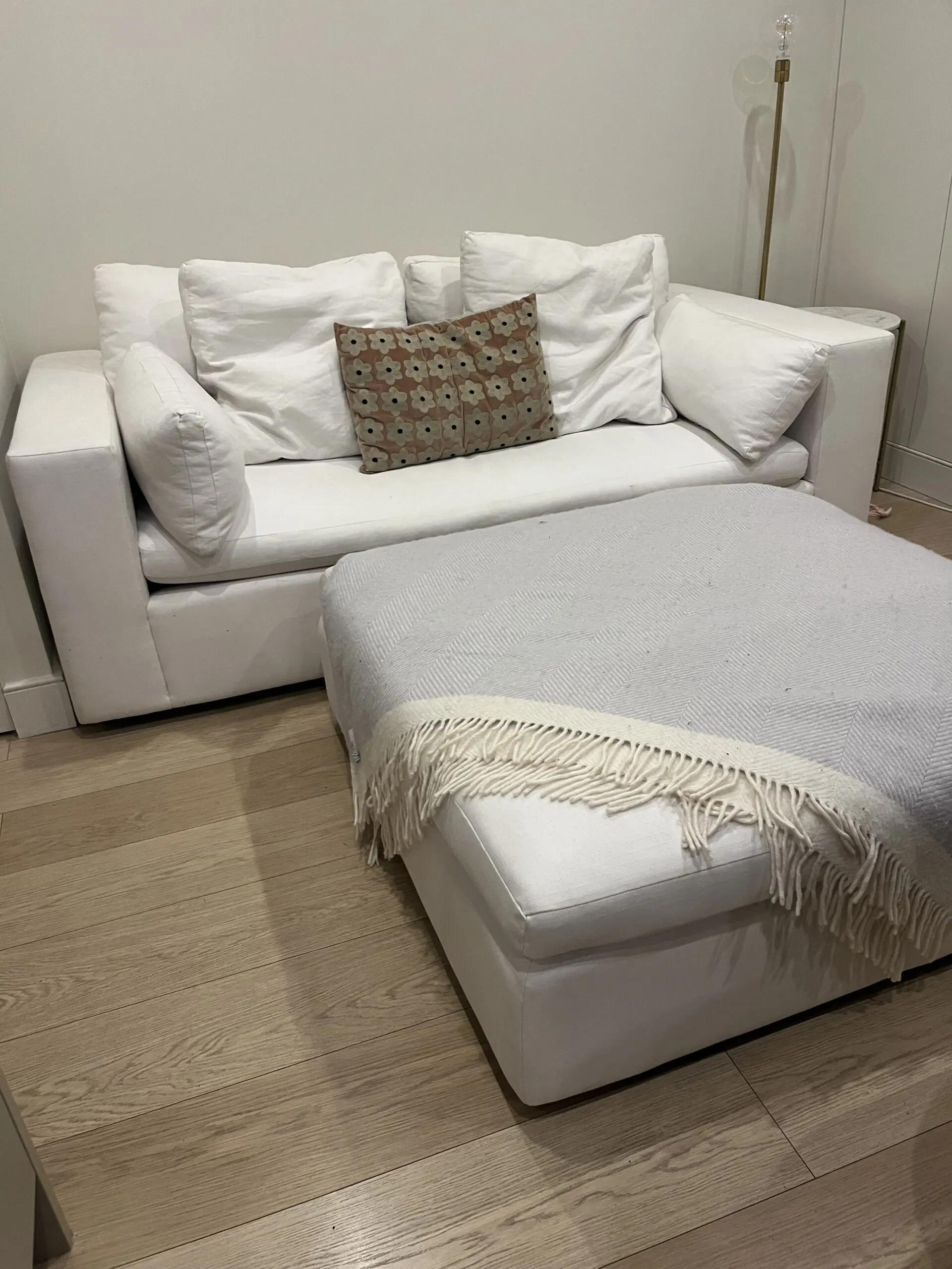 West Elm Harmony Sofa and ottoman