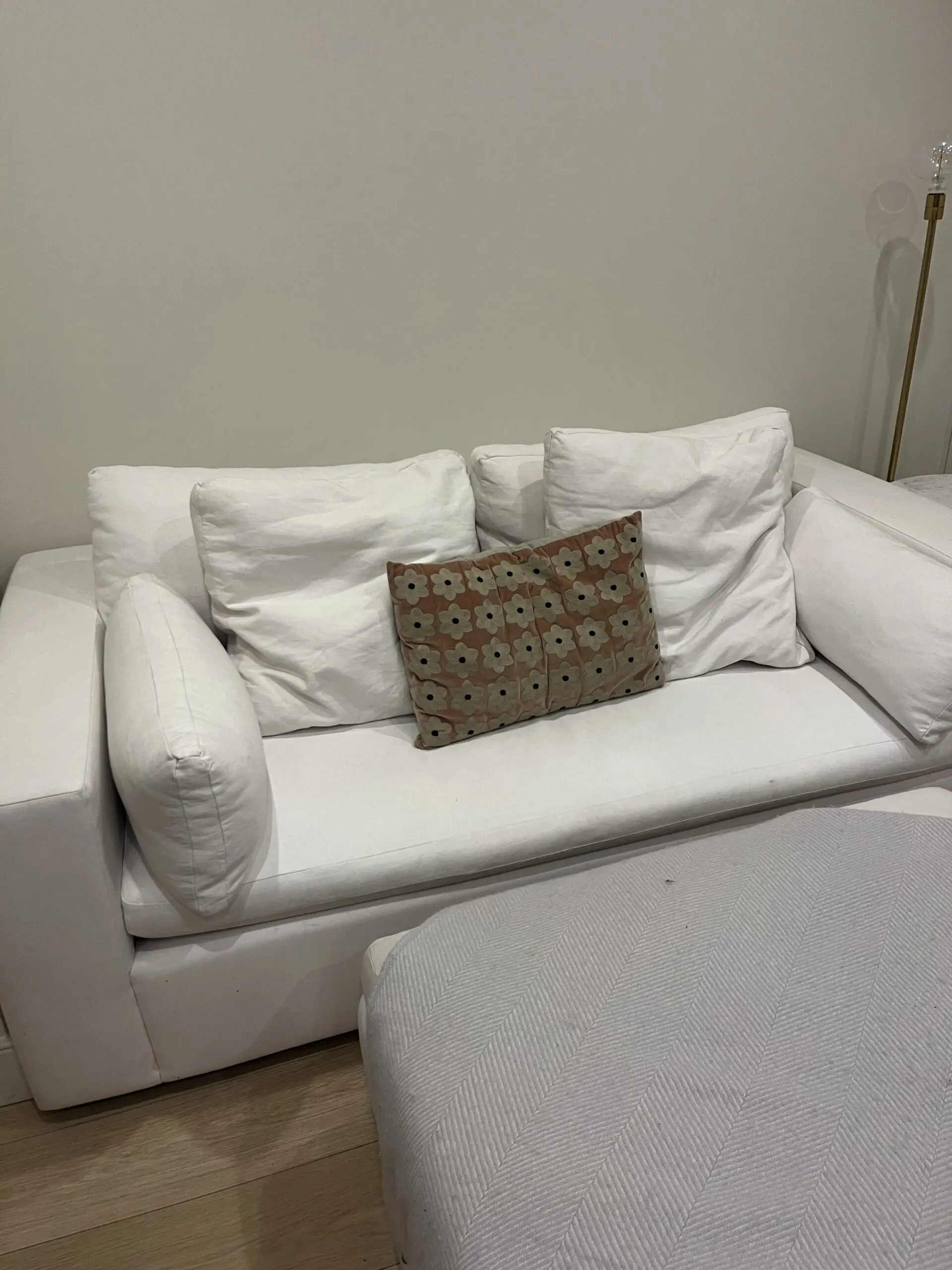 West Elm Harmony Sofa and ottoman